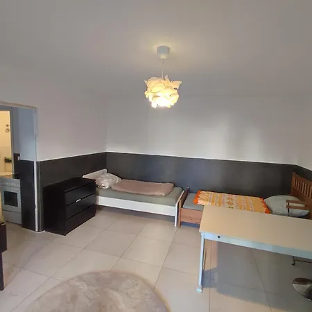 Modern Renovated For Work And Family Apartment Wiesbaden